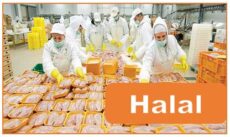 Halal